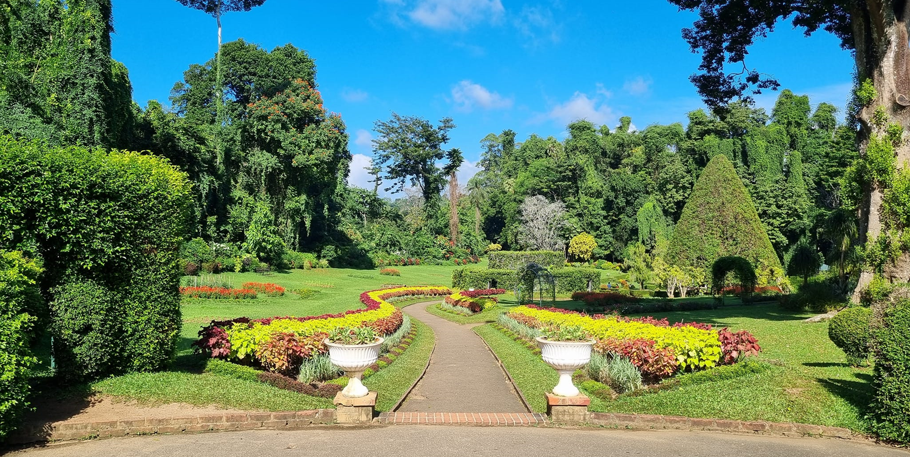 Peradeniya Gardens