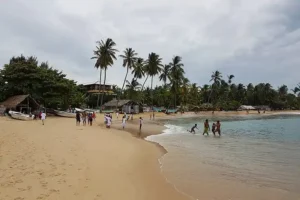 Arugam Bay Beach